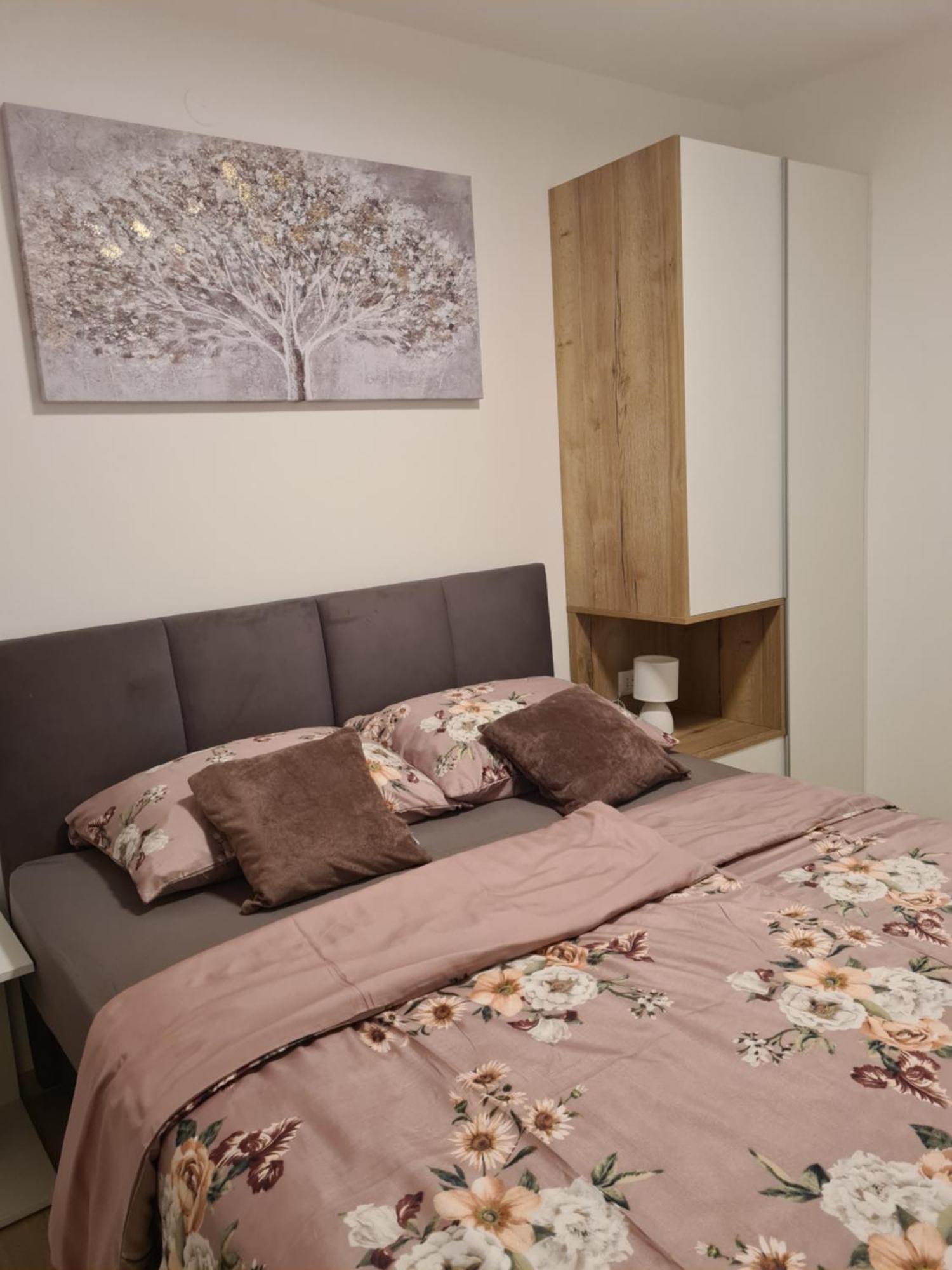 שילו Apartments Petrovic מראה חיצוני תמונה