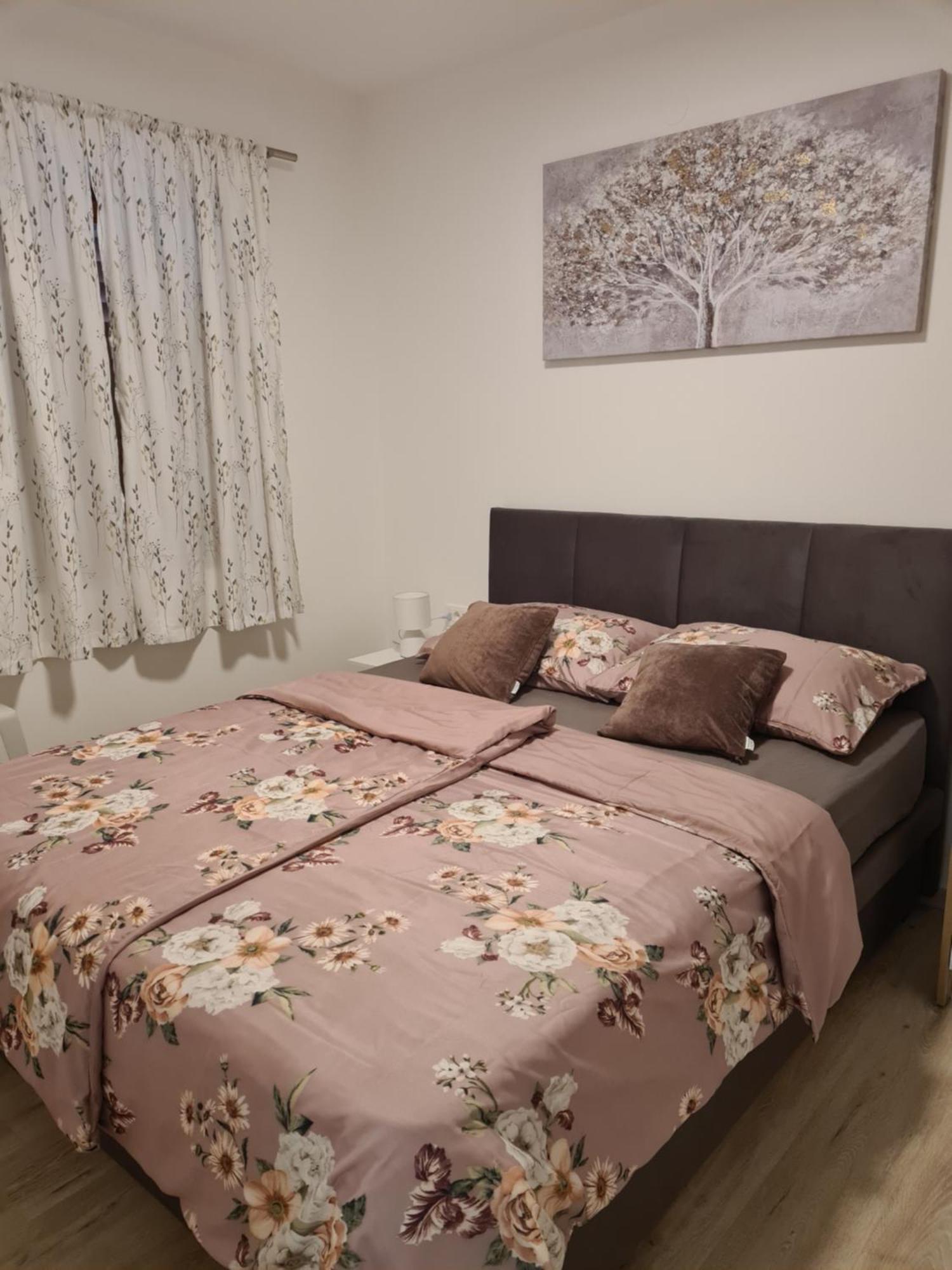 שילו Apartments Petrovic מראה חיצוני תמונה